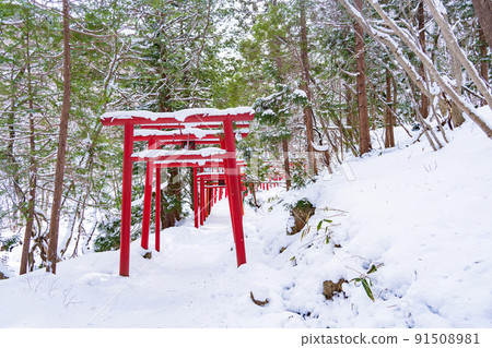 The vermilion torii gate of Manzo Inari Shrine in Shiroishi City, Miyagi Prefecture 91508981