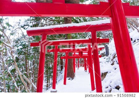 The vermilion torii gate of Manzo Inari Shrine in Shiroishi City, Miyagi Prefecture 91508982