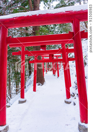 The vermilion torii gate of Manzo Inari Shrine in Shiroishi City, Miyagi Prefecture 91508983