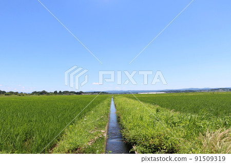 大藍天下的鄉村景觀 91509319