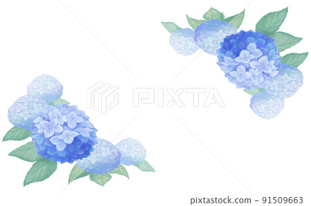 Blue hydrangea decorative frame - Stock Illustration [91509663] - PIXTA