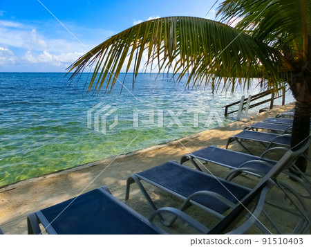 View of a tropical beach in Roatan Honduras 91510403