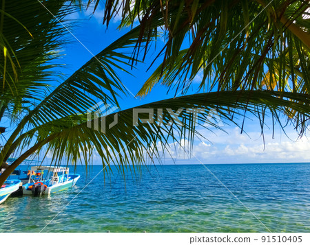 View of a tropical beach in Roatan Honduras View of a tropical beach in Roatan Honduras 91510405