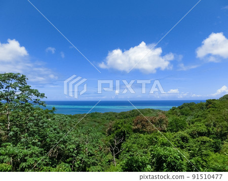 An aerial view of a tropical beach in Roatan Honduras 91510477