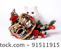 White Persian behind a Christmas mask in isolation on white 91511915