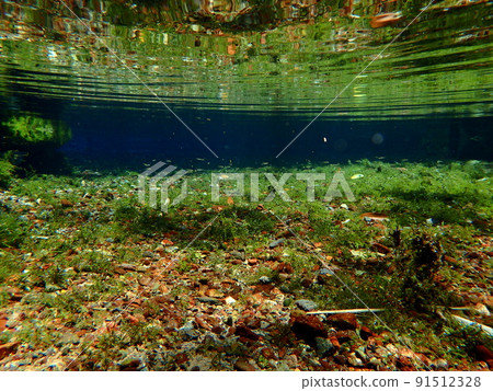 Spring water where small fish flock 91512328