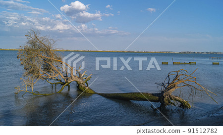 Donana National Park in Spain A UNESCO World Heritage Site 91512782