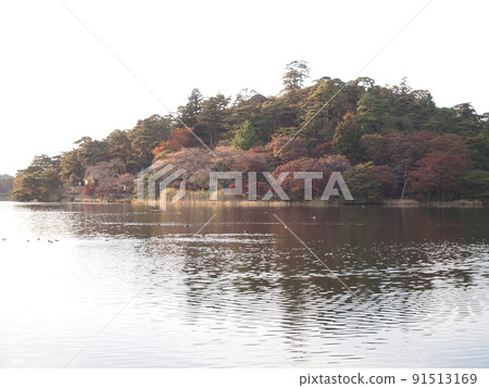 南湖 91513169