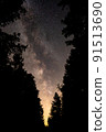 Milky Way Emerging between the Trees of a forrest 91513690