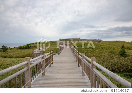 Shiretoko Goko Elevated Boardwalk (Hokkaido) 91514017