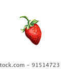 Watercolor red juicy strawberry .Hand drawn food illustration. Fruit print. Summer sweet fruits and berries. 91514723