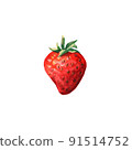 Watercolor red juicy strawberry .Hand drawn food illustration. Fruit print. Summer sweet fruits and berries. 91514752