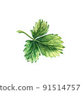 Strawberry green leaf, watercolor hand-drawn illustration isolated on a white background 91514757