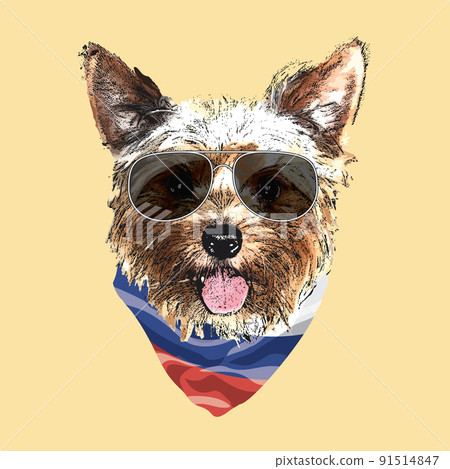 Yorkshire Terrier portrait, Cute cool dog in glasses and Russia flag bandana, Vector illustration 91514847
