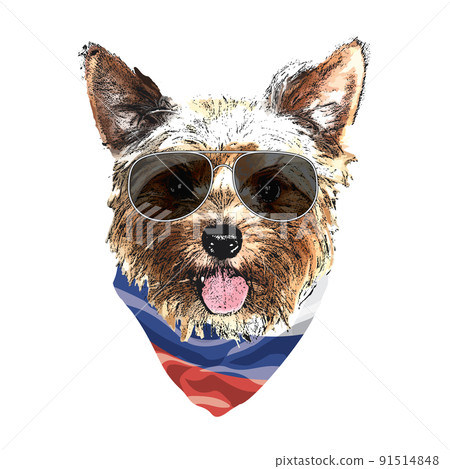 Yorkshire Terrier portrait, Cute cool dog in glasses and Russia flag bandana, Vector illustration 91514848