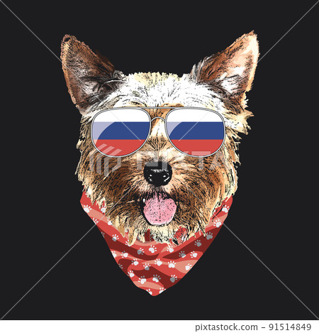 Yorkshire Terrier portrait, Cute cool dog in Russia flag glasses and bandana, Vector illustration 91514849