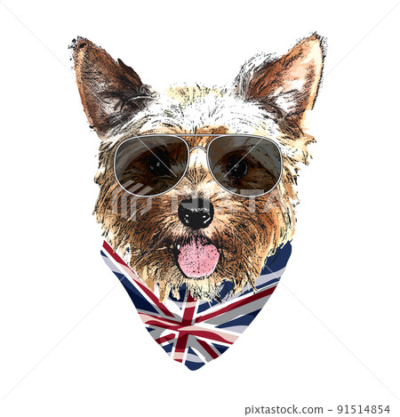 Yorkshire Terrier portrait, Cute cool dog in glasses and UK flag bandana, Vector illustration 91514854