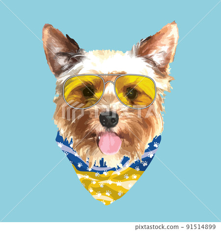 Yorkshire Terrier portrait, Cute cool dog in glasses and Ukraine flag bandana, Vector illustration Yorkshire Terrier portrait, Cute cool dog in glasses and Ukraine flag bandana, Vector illustration 91514899