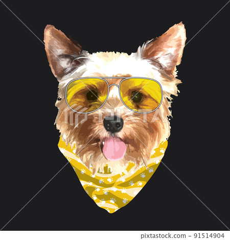 Yorkshire Terrier portrait, Cute cool dog in glasses and bandana, Vector illustration Yorkshire Terrier portrait, Cute cool dog in glasses and bandana, Vector illustration 91514904