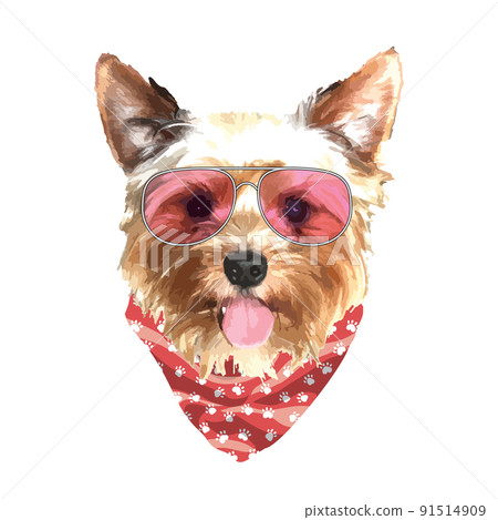 Yorkshire Terrier portrait, Cute cool dog in glasses and bandana, Vector illustration 91514909