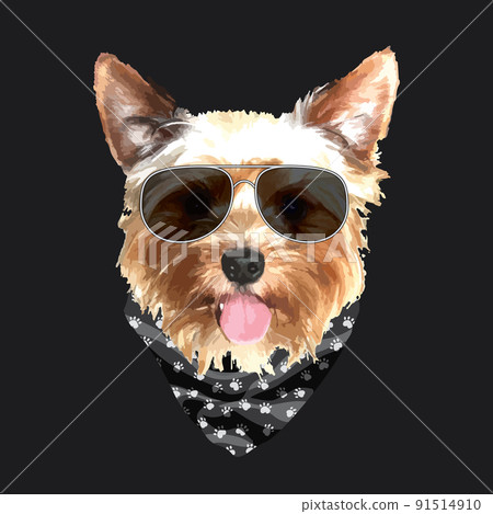 Yorkshire Terrier portrait, Cute cool dog in glasses and bandana, Vector illustration Yorkshire Terrier portrait, Cute cool dog in glasses and bandana, Vector illustration 91514910