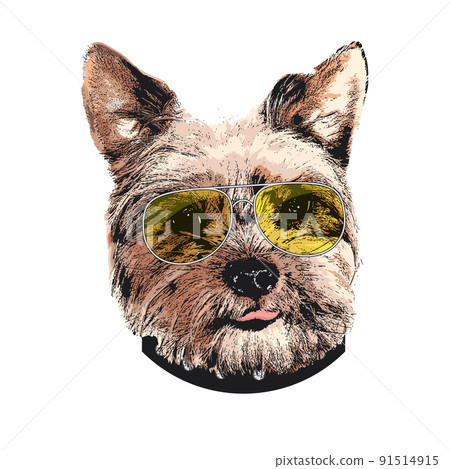 Yorkshire Terrier portrait, Cute cool dog in glasses, Vector illustration 91514915