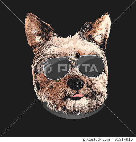 Yorkshire Terrier portrait, Cute cool dog in glasses, Vector illustration Yorkshire Terrier portrait, Cute cool dog in glasses, Vector illustration 91514919