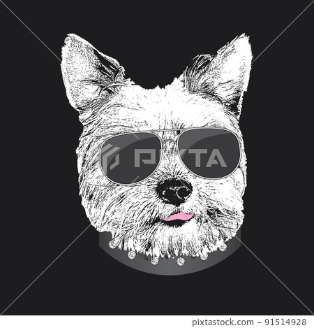 Yorkshire Terrier portrait, Cute cool dog in glasses, Vector illustration Yorkshire Terrier portrait, Cute cool dog in glasses, Vector illustration 91514928
