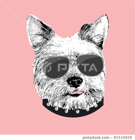 Yorkshire Terrier portrait, Cute cool dog in glasses, Vector illustration 91514929