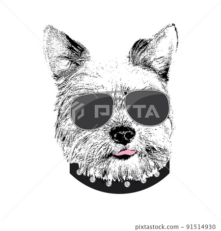 Yorkshire Terrier portrait, Cute cool dog in glasses, Vector illustration 91514930