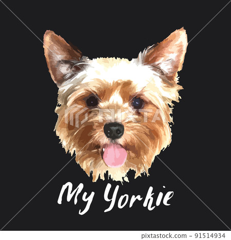 Yorkshire Terrier portrait, Cute dog with lettering quote. Vector illustration 91514934