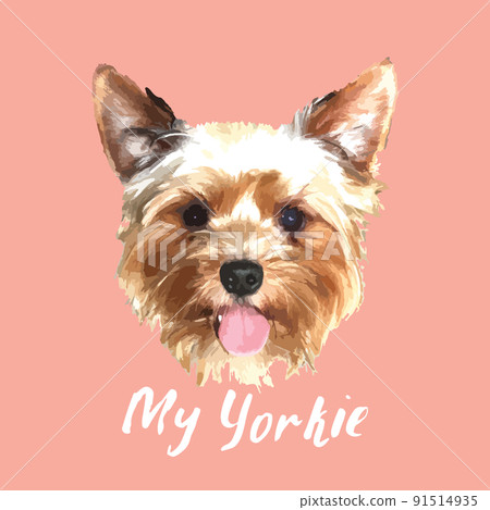 Yorkshire Terrier portrait, Cute dog with lettering quote. Vector illustration 91514935