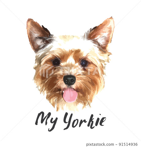 Yorkshire Terrier portrait, Cute dog with lettering quote. Vector illustration Yorkshire Terrier portrait, Cute dog with lettering quote. Vector illustration 91514936