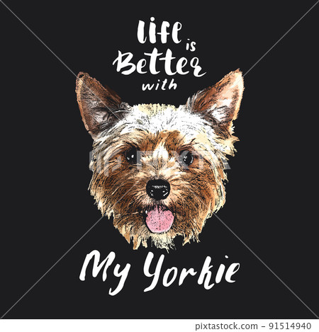 Yorkshire Terrier portrait, Cute dog with lettering quote. Vector illustration Yorkshire Terrier portrait, Cute dog with lettering quote. Vector illustration 91514940