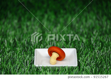 A miniature model of a colorful mushroom placed on a white square plate 91515267