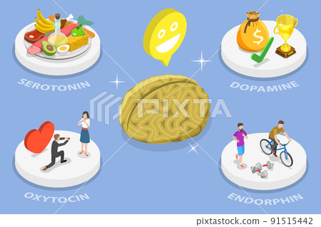 3D Isometric Flat Vector Conceptual Illustration of Happy Hormones 91515442