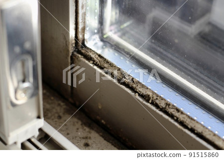 A large amount of black mold is occurring on indoor windows, sashes, and window frames. 91515860