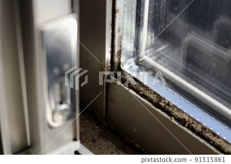 A large amount of black mold is occurring on indoor windows, sashes, and window frames. 91515861