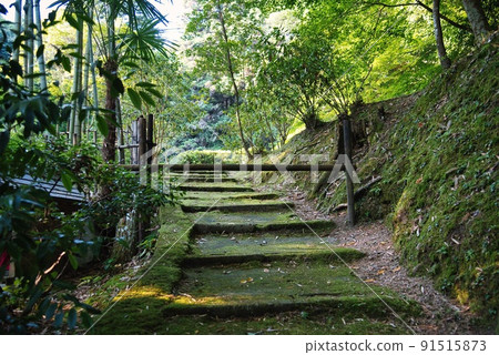 Kukayama Jizo-ji Temple（川泉24地藏聖地奧山苔蘚階梯奧山） 91515873