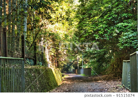 Kawaizumi 24 Jizo Kukayama Jizo Temple Takano Amami Totoro Kaido 91515874