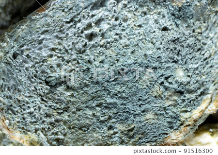 completely spoiled and mold-covered bread on the table completely spoiled and mold-covered bread on the table 91516300