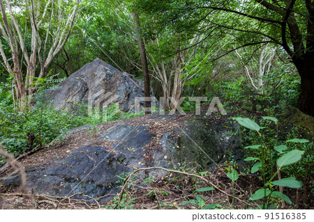 One of the gigantic rocks dragged by the avalanche, caused by the Nevado del Ruiz, that destroyed the city of Armero in 1985 One of the gigantic rocks dragged by the avalanche, caused by the Nevado del Ruiz, that destroyed the city of Armero in 1985 91516385