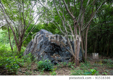 One of the gigantic rocks dragged by the avalanche, caused by the Nevado del Ruiz, that destroyed the city of Armero in 1985 91516386