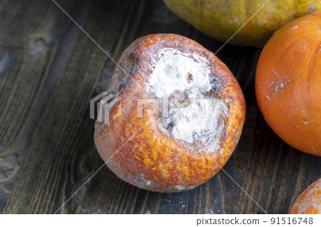 spoiled pumpkin food that has not been used and is garbage spoiled pumpkin food that has not been used and is garbage 91516748