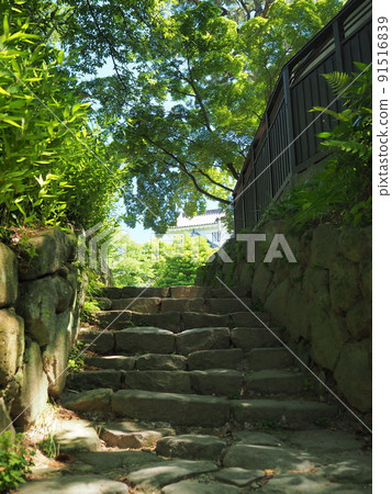 Okazaki Castle 91516839