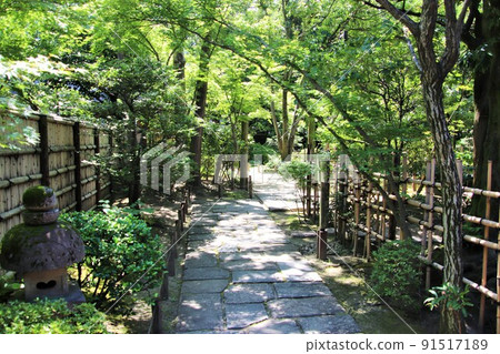 Japanese garden at Rakusuien in Hakata-ku, Fukuoka Japanese garden at Rakusuien in Hakata-ku, Fukuoka 91517189