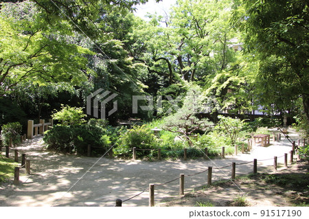 Japanese garden at Rakusuien in Hakata-ku, Fukuoka 91517190