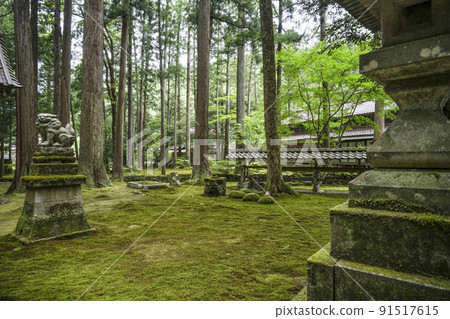 日約苔蘚庭園、日約神社 91517615