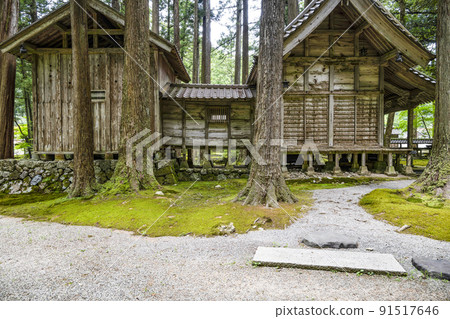 日約苔蘚庭園、日約神社 91517646