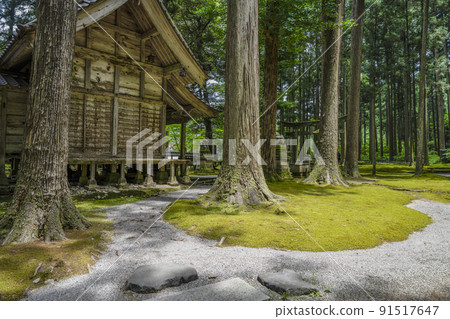 日約苔蘚庭園、日約神社 91517647
